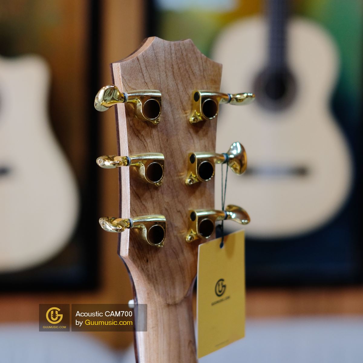 Guitar Acoustic CAM700