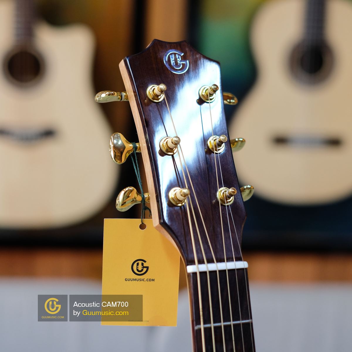 Guitar Acoustic CAM700