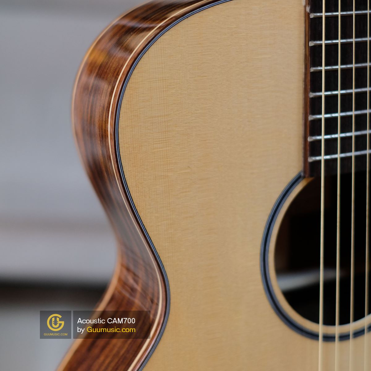 Guitar Acoustic CAM700