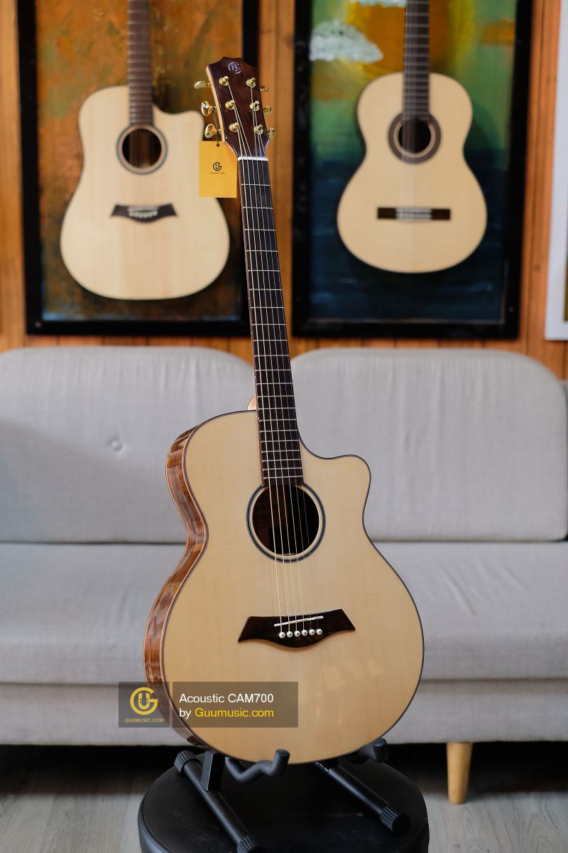 Guitar Acoustic CAM700