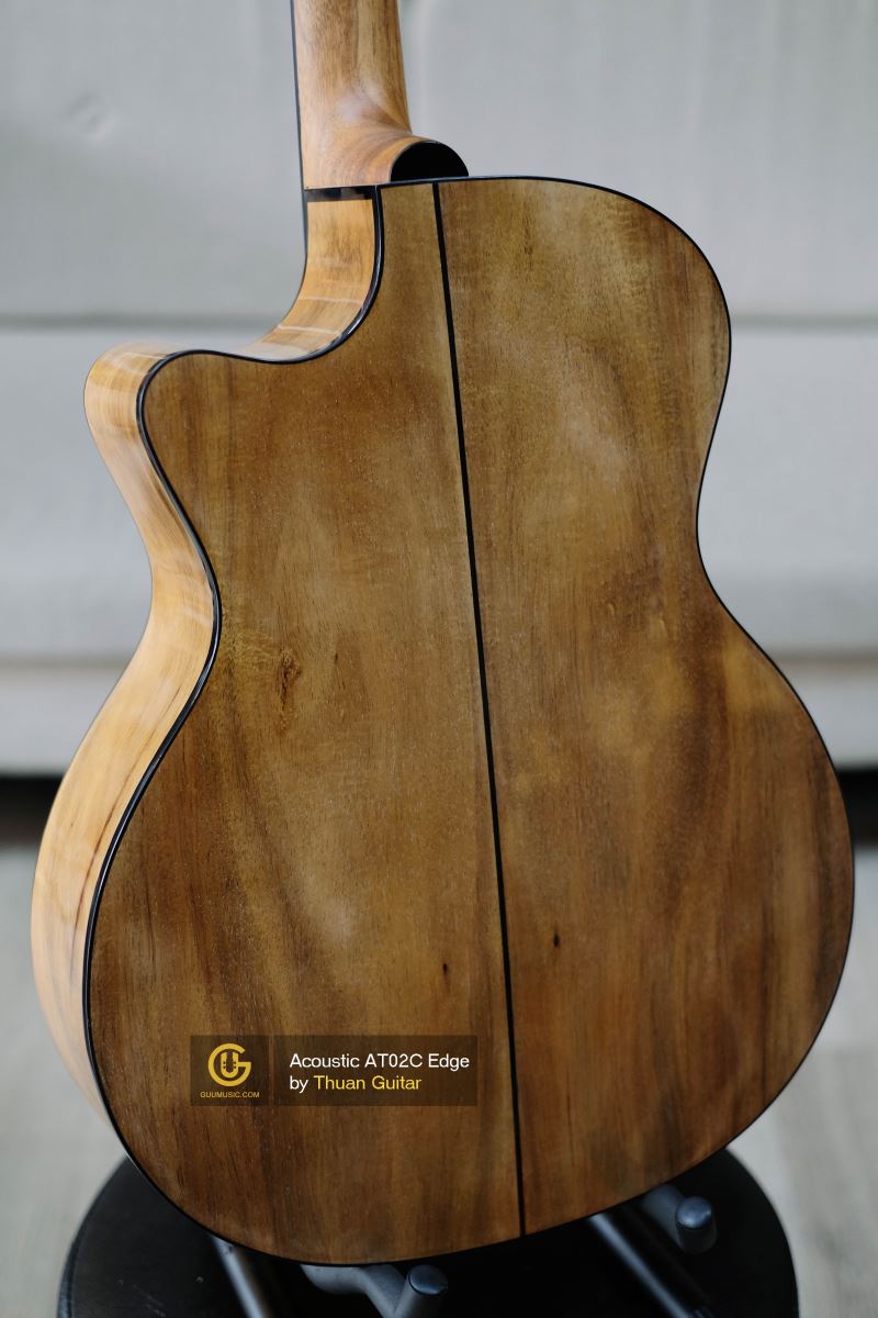 Thuận Guitar AT02C-EDGE
