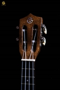 UKULELE 2T