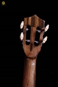 UKULELE 2T
