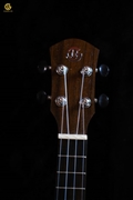 UKULELE TVT