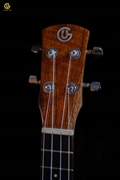 UKULELE HD14