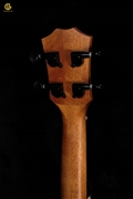 UKULELE FMA