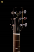 Thuận Guitar AT-02CX CUSTOM