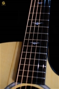 Thuận Guitar AT-02CX CUSTOM