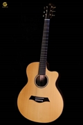 Guitar Acoustic CAM800