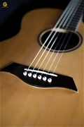 Guitar Acoustic CAM800