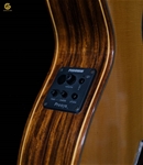 Guitar Acoustic CAM800