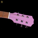 Acoustic GUU AC30PK