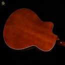 Acoustic Guu AC30