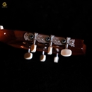 Classic GUU CL30