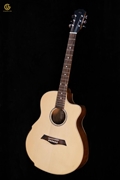 Acoustic GUU03x