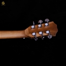 Acoustic GUU03x