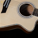 Guitar HKV-01