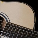 Guitar HKV-01