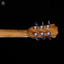 Guitar HKV-01