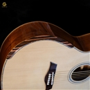 Guitar HKV-01
