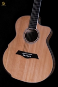 Guitar Acoustic SDSx