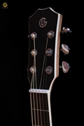 Guitar Acoustic SDSx
