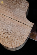 Guitar Acoustic SDSx
