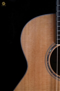 Guitar Acoustic SDSx