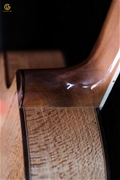 Guitar Acoustic SDSx