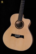 Guitar Acoustic SDS