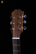 Guitar Acoustic SDS