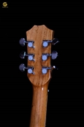 Guitar Acoustic SDS