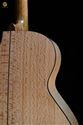 Guitar Acoustic SDS