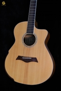 Guitar Acoustic SDFx