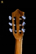 GUITAR CLASSIC MINI D200