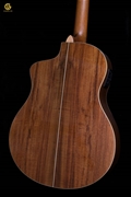 Acoustic WASHBURN BTSC56SCE