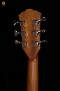 Acoustic WASHBURN BTSC56SCE