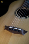 Acoustic WASHBURN BTSC56SCE