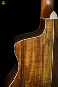 Acoustic WASHBURN BTSC56SCE