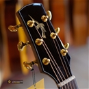 Thuận Guitar AT-04CX CUSTOM 2022