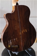 Guitar Acoustic CAM700