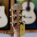 Guitar Acoustic CAM700