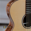 Guitar Acoustic CAM700