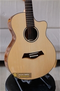 Guitar Acoustic CAM700