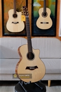 Guitar Acoustic CAM700