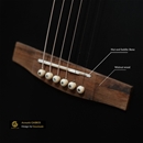 Acoustic GABK-01