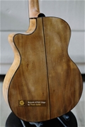 Thuận Guitar AT02C-EDGE