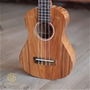 Ukulele Handmade Guu Custom UK23